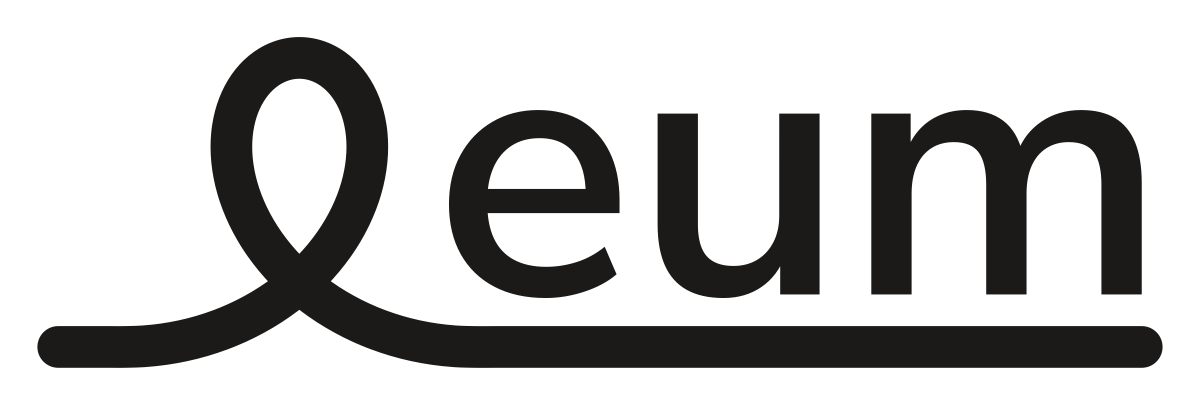 The ieum wordmark